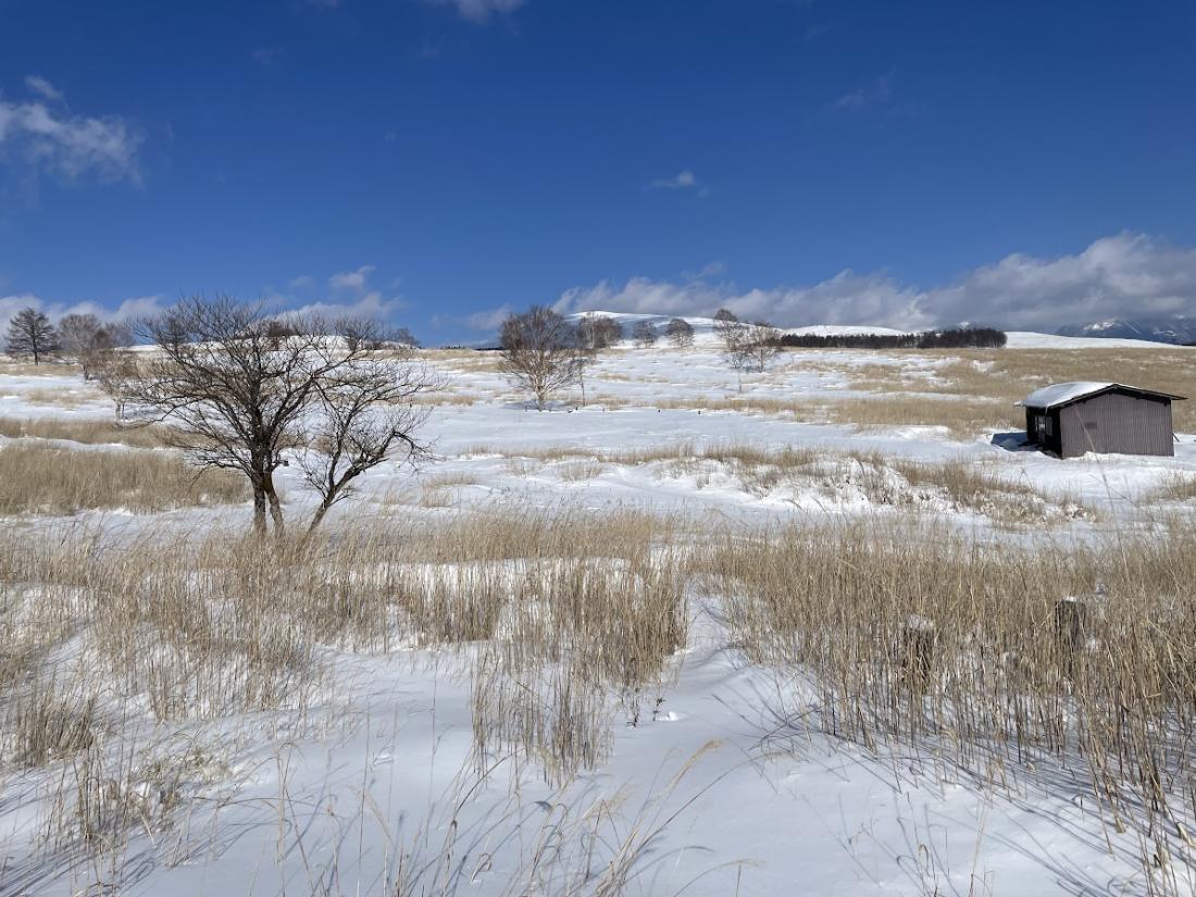牧場跡地（冬） 画像2
